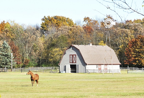 living-with-horses-a-place-in-the-country-horse-journals